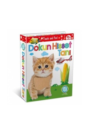 بطاقات ذكاء لمسة الأطفال والشعور 011 - Circle Toys