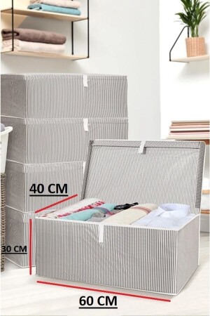 1 Box with Lid Storage Bag Mega Size 60*40*30* - Alas