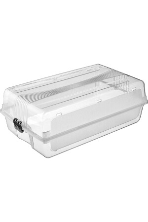 10 Women's Shoe Boxes - Elif