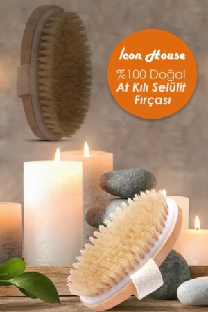 %100 Doğal Selülit Karşıtı At Kılı Selülit Fırçası At Kılı Fırçası Selülit Peeling Fırçası - Genel Markalar