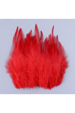 100pcs Red Bird Feathers 1 5x2 Red Bird Feathers for Decoration - Aker Hediyelik