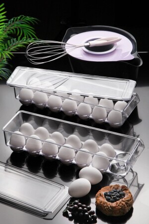 14-Piece Maxi Egg Storage Container with Lid, 2 Transparent NDY-N44-1 - Nandy Home