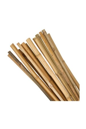 180 cm Stange 10 Stück 14-16 mm Stangen - Bambu