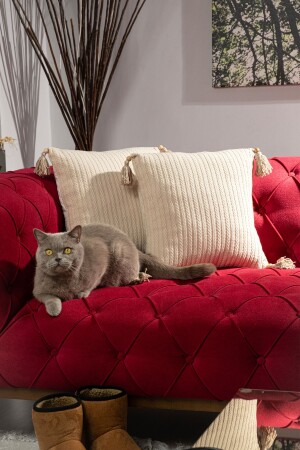 2' Authentic Knitted Pattern Soft Throw Pillow Case - Berys