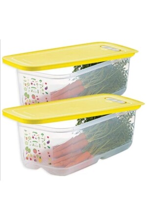 2 Greenhouse Set 23563 - Tupperware