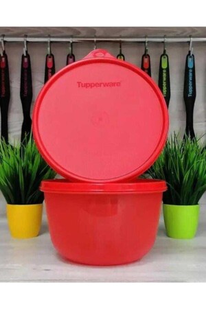 2 Lt Vorratsbehälter 1 Stück TYC00696997805 - Tupperware