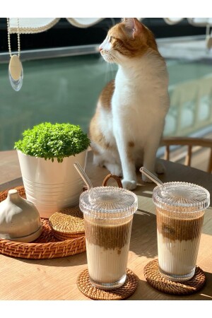 2 Pieces 400 ml Origami Style Glass Cup with Glass Lid and Straw, Coffee and Presentation Cup, Soft Drink Cup - Küçük Ew