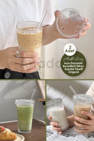 2 Pieces Heat-Resistant Borosilicate Glass Origami Shaped Cups with Lids and Straws Coffee Presentation Cups Set of 2. Number. Pipette. Lid. origin - Anadolu Saray Çarşısı