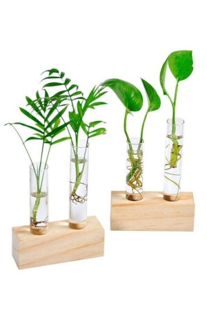 2-teilige Glas-Minivase, Blumentopf, Röhrenvase mit Holzständer - Lalezen Home