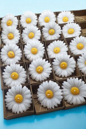 20 Kraft Boxed Daisy Candles - Erse Home