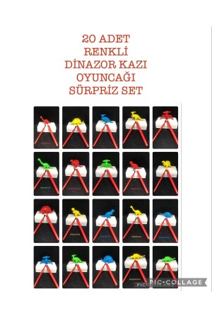 20 Pieces Colorful Dinosaur Archaeological Excavation Kit Educational Tutorial Science Activity Activity Dinosaur Species Set - Aziz Oyuncak