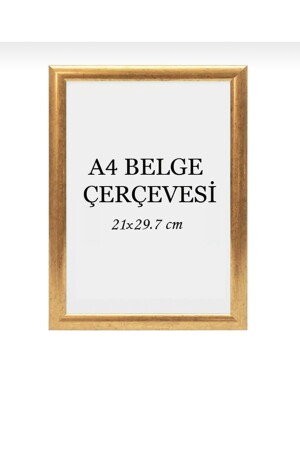 21x30 Fotobild-Poster-Zertifikatsrahmen - Serita