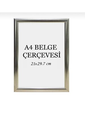 21x30 Photo Picture Poster Certificate Frame - Serita