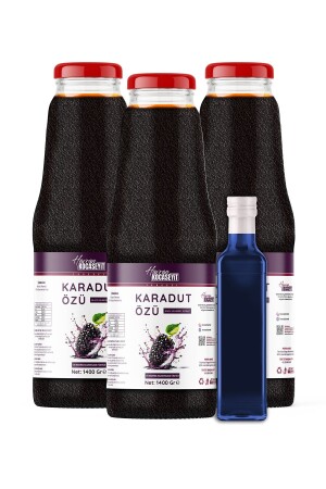 3 Black Mulberry Extract 1400 g Blueberry Extract 350 g - Havran Kocaseyit