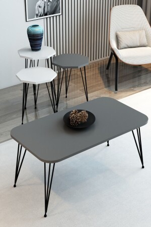 3-Piece Nesting Coffee Table and Coffee Table Set Octagonal Coffee Table Set Wire Leg Metal Coffee Table Set ZigonOrtac - Modalanka