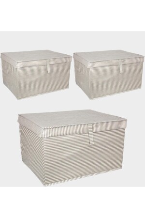 3 Pieces - Multi-Purpose with Cover (Laundry-storage-organization Etc.) Storage Bag - Box Maxi 50x40x30 - Brown - Alas