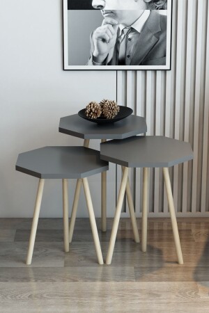 3-Seat Nesting Coffee Table Octagonal Model Nesting Coffee Table Hornbeam Leg OctagonHornhorn Leg Nesting Table - Modalanka