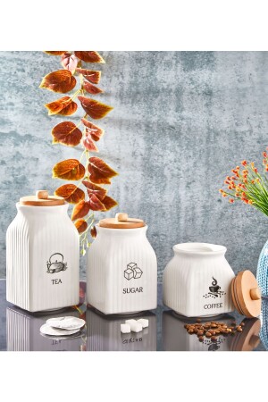 3' Vacuum White Jar Set with Wooden Lid Set Spice Tea Salt Sugar Coffee Jar IL. 247 - İLİVA