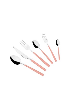 36 Piece Dublin Matte Silvery Pink Stainless Steel Cutlery Set RIVER D36SP - Tantitoni