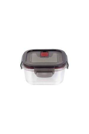 395060050 Gusto Glass Storage Container, Square 39506-005-0 - Zwilling