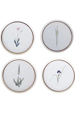 مـنـز - كعكة نباتية 4 قطع 21 سم 341SET201 - Porland