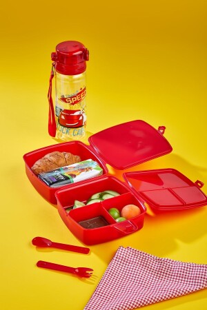 4 Compartments 2 Layer Lunch Box with Spoon and 500 Cc Water Bottle with Straw Car lunch box set - ALİNA HOME