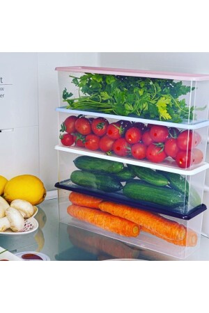 4-Piece Storage Container Set Colorful Lid RP-0001 - ray plastik
