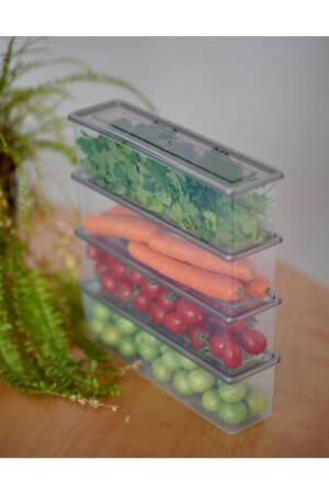4-Piece Transparent Smoked Storage Container with Lid 1.5 Lt. RP-0028 - ray plastik