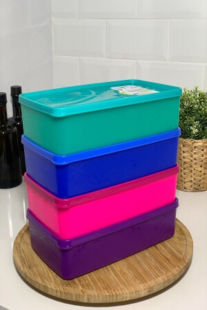 4 Pieces Alaska Deep Freezer Storage Container 2100 Ml No Frost & Freezer Container sa-980 - ErtusHome