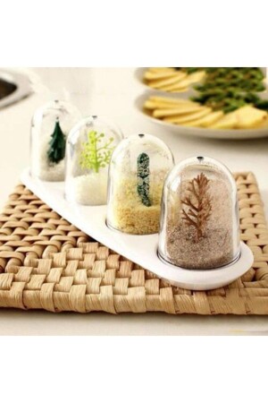 4 Seasons Shaped Spice Set RCN21240 - Raicon