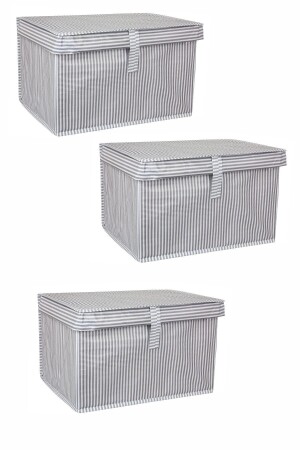 40x30x26 Multi-Purpose Mini 3-Piece Striped Pattern Box - Alas