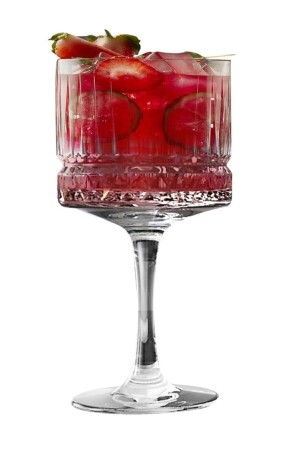 440437 Elysia Cocktailglas 6er-Pack 500 cc Fma471733 333 - Paşabahçe