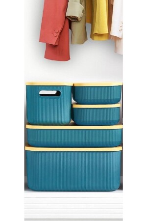 5 Piece Green Closet Organizer Storage Basket with Cover Socks Clothes Organizer 5pcs-set BYV-8451132 - Bayev