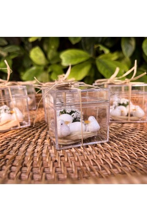 50 Pieces Mica Bird Cage Promise Henna Wedding Candy Baby Candy Gift N2725 - DOKA