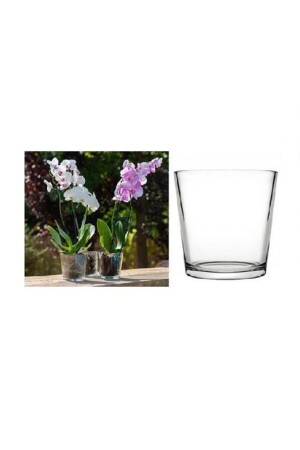 53827 Botanica Orchideenvase - Paşabahçe