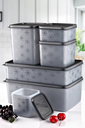 مجموعة من 6 من MNZ-Crystal Set بدون حاوية تخزين ثلج مجفف و حاوية تخزين في صندوق ثلج Anthracite EGMNNOFROST - Vienev