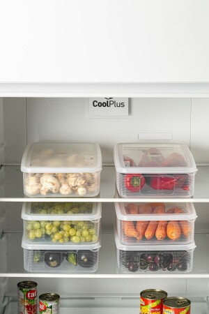6 Piece 3.5 Lt Leakproof Storage Container Set - Lotus Collection BL-K1481 - BRAMBLE LIFE