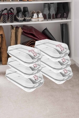 6-Piece Breathable, Safe, Transparent Women's Shoe Organization and Storage Box TP383 - Tuffex