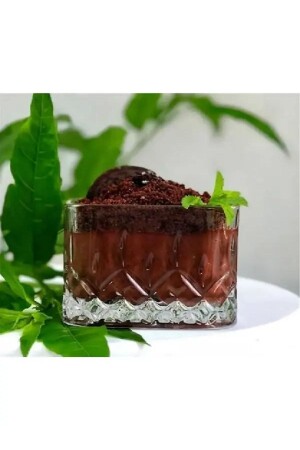 6-Piece Square Glass Bowl 1887 - Akkoyunlu home