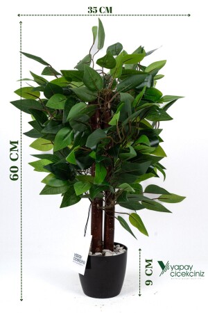 60 Cm Dense Leaf Artificial Benjamin Tree in Black Pot with Stone Detail - Yapay Çiçekçiniz