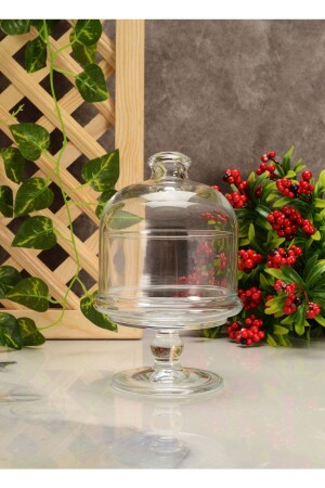 96878 Mini Patisserie Footed Bell Jar 96878-1113047 - Paşabahçe