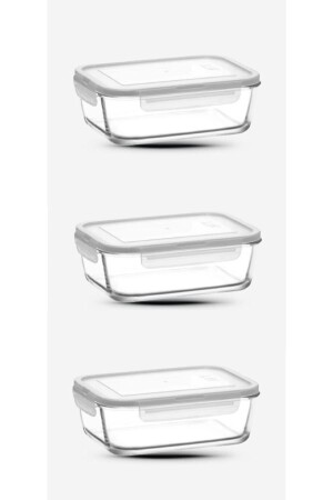 Abschließbarer Vorratsbehälter aus Glas, 3er-Set, 1200 cc-Neue Serie, großer rechteckiger Vorratsbehälter aus Glas, frs257-3 - Lav