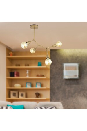 Acrobat 4 L Modern Young Room Kitchen Living Room Chandelier 3479-04-FG - Apliqa