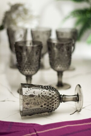 Acrylic Smoked 6-Piece Goblet & Water Soft Drink Coffee Glass 450 ml (Not Glass) Magıcayaklidp6 - EWs