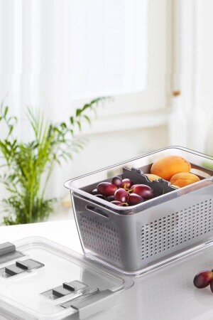 Air Conditioned Refrigerator Organizer and Storage Container with Filter Compartment 2.5 Lt kzrt10162256 - KOZART