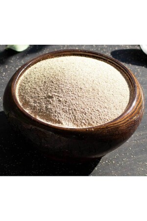 Alfatec 48 Turbo Yeast 100 gr - Alfasol