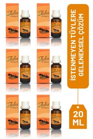 Ameiseneiöl 6 Stück - Tala