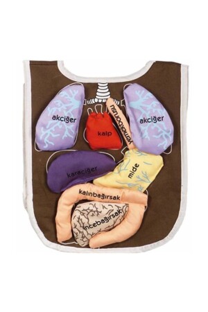 Anadolu Toy Organ Apron AND-2019 - AnkiToys