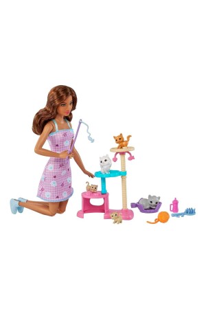 And Kittens Playset Hhb70 HHB70 - Barbie