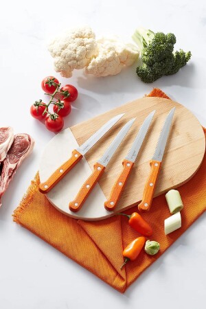 Angle Steak 4 Piece Knife Set 153. 03. 06. 1264 - Karaca